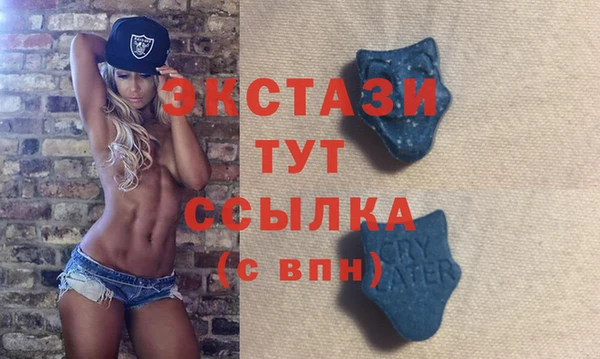 ECSTASY Краснослободск